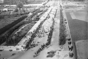 Diagonal zona Pedralbes. 1924. Foto Josep Badosa i Montmany.